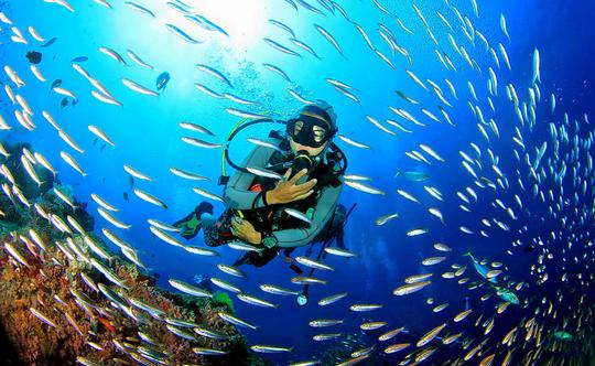 Scuba Diving In Chennai Image