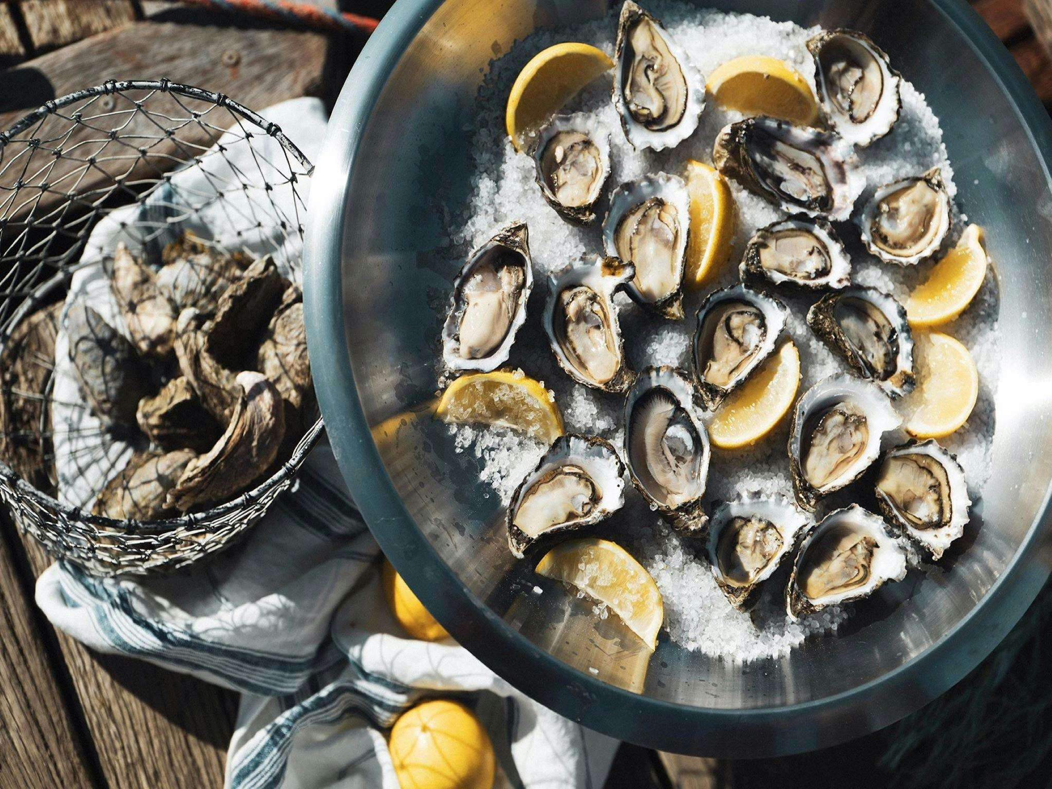Taste oysters fresh from the waters of Sydney’s coastline