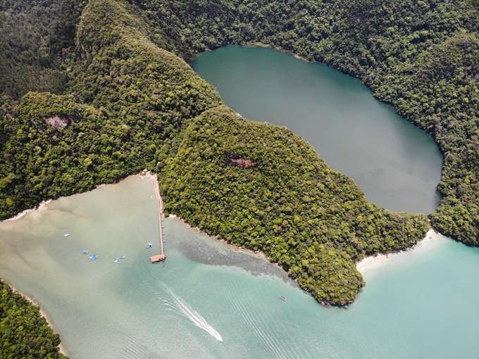 Loose yourself in the lush green surroundings