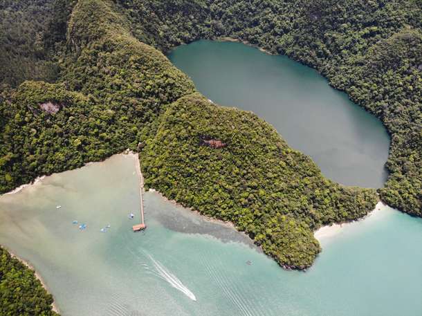 Loose yourself in the lush green surroundings