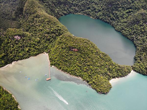 Loose yourself in the lush green surroundings