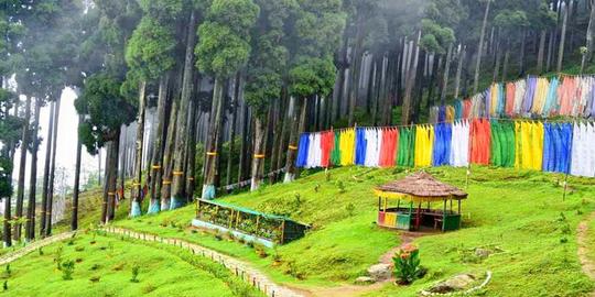 Day excursion to lamahatta, tinchuley & takdah Image