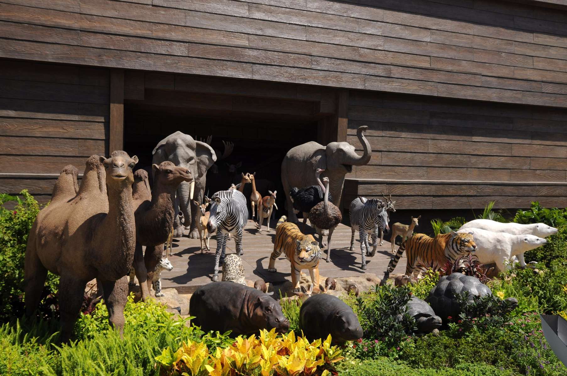 Noahs Ark Hong Kong Tickets Image