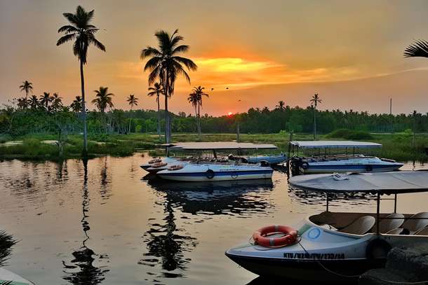 Explore Poovar’s beauty on a 2-hour sunrise boating trip
