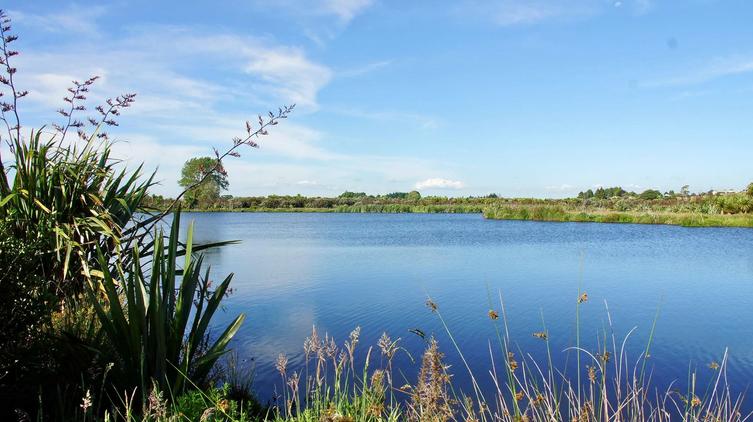 Waiwhakareke Natural Heritage Park