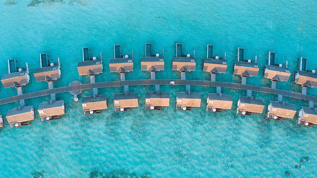 Ozen Life by Atmosphere at Maadhoo Image