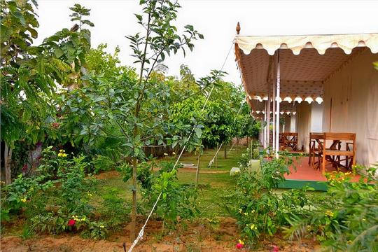 The Raj bagh Jungle Camp Resort Image