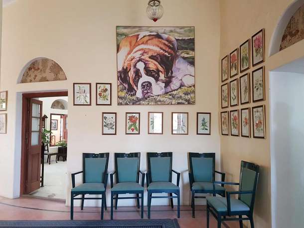 Hyywlf8ujs39g6bk1hv6x3josfqa 7