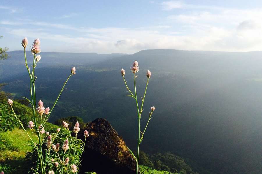 Kaas Plateau Camping Image
