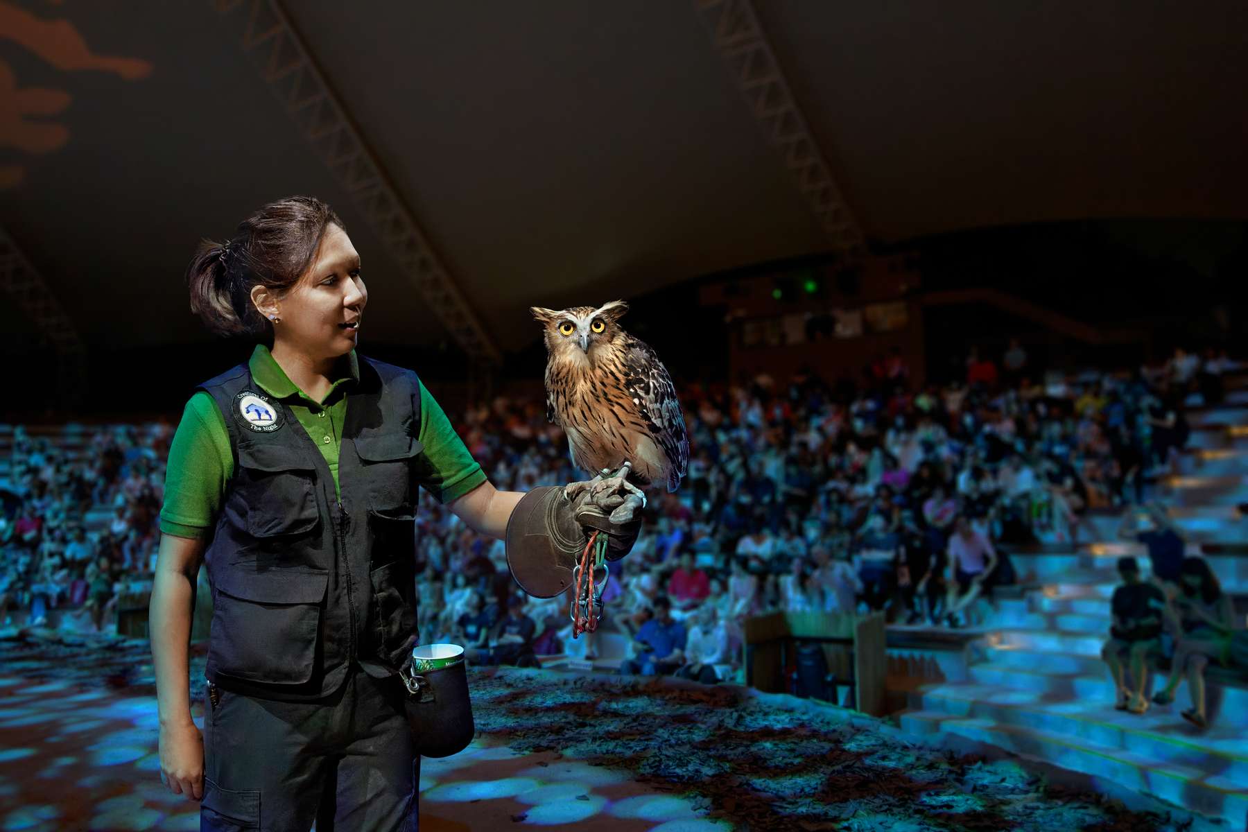 Singapore Night Safari Tickets Image