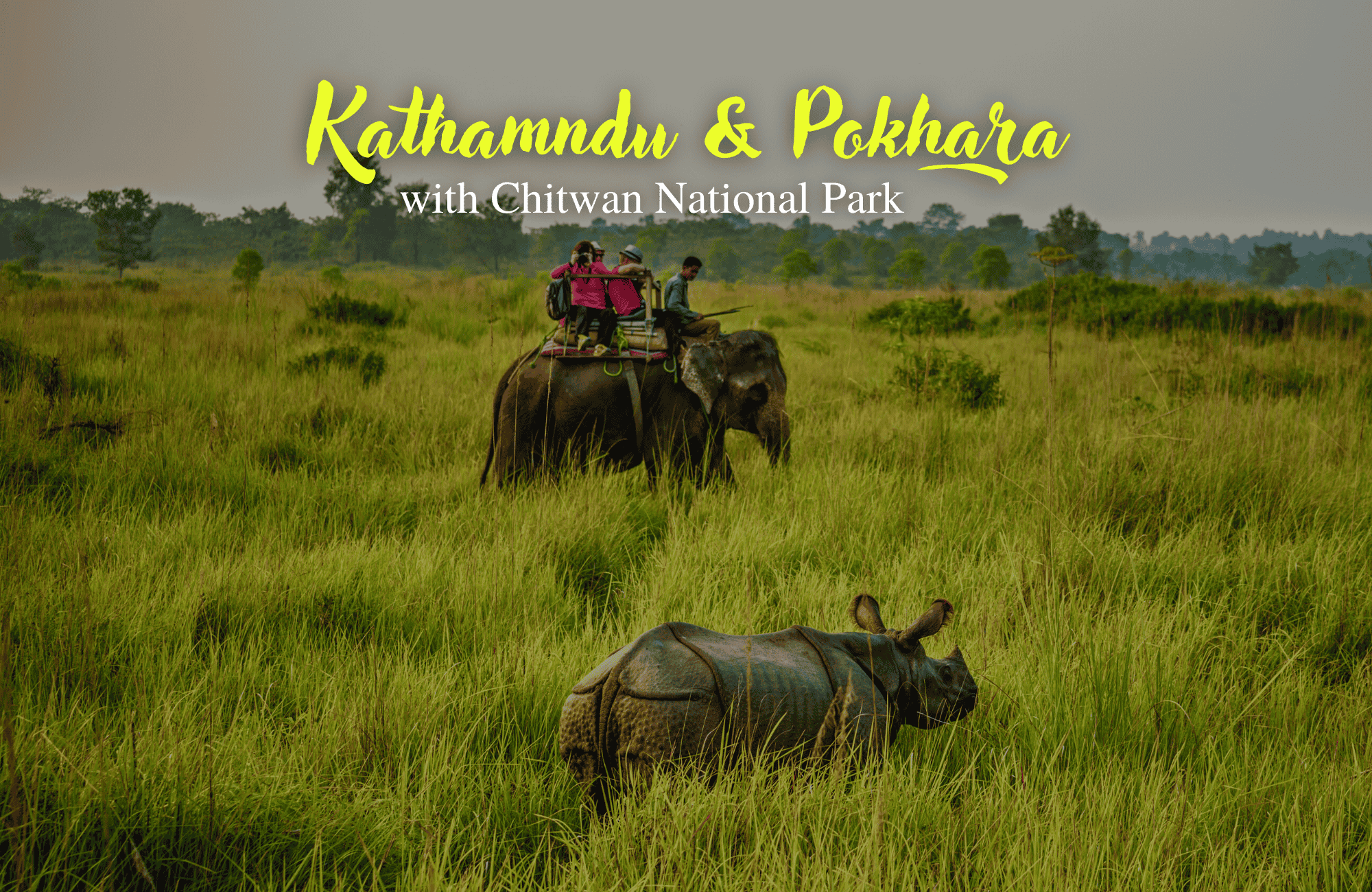 Explore the exotic wildlife at Chitwan National park