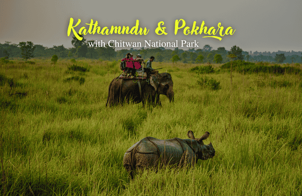 Explore the exotic wildlife at Chitwan National park