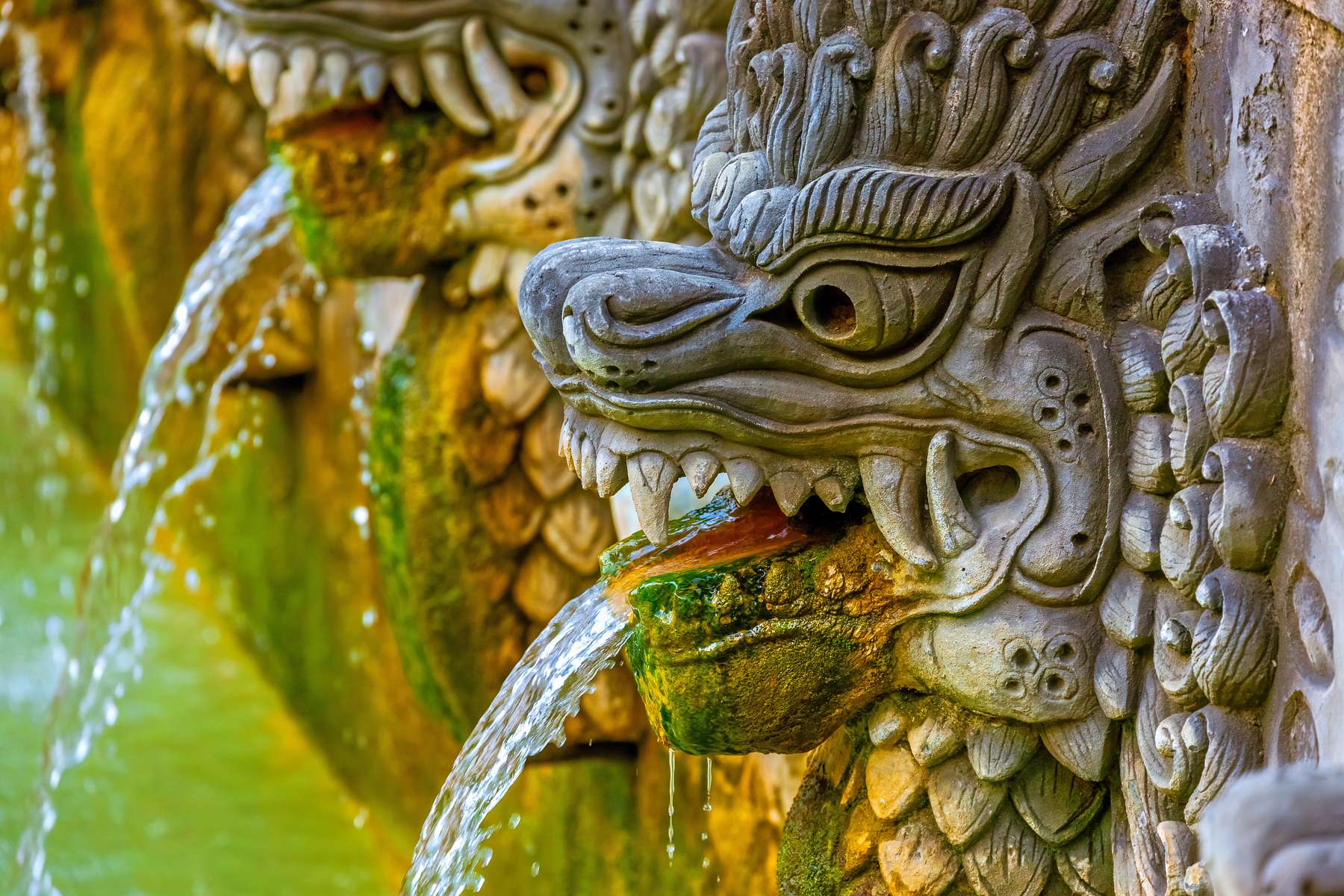 Mount Batur Trek and Hot Springs Image