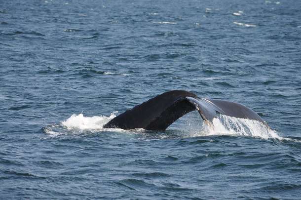 I04isyh9nk3vmhj2ufefjbclhmxt downpic.cc 172028481