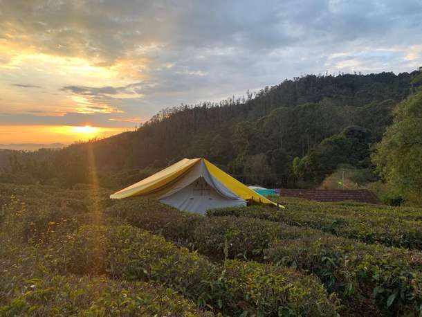 Camping by Tea Gardens Ooty