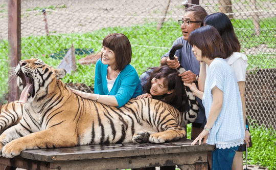 Fantastic Phuket in 6 Days Image