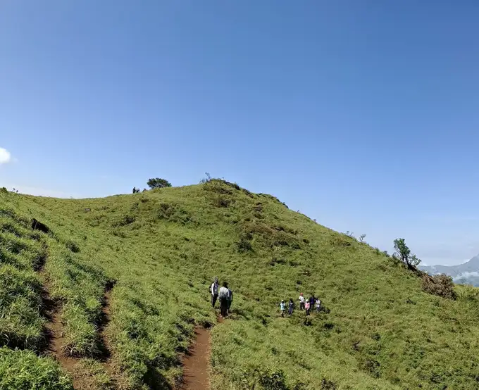 Explore Madikeri’s landscapes in a few hours on Karkette Trek