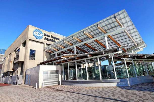 New England Aquarium Tickets