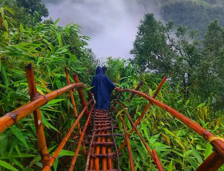 Trek through misty forests and bamboo bridges