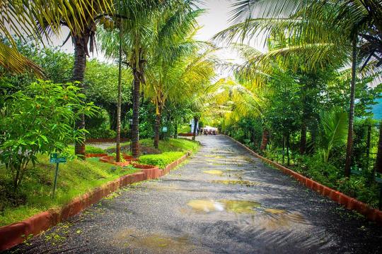 Nature Bliss Resort Image