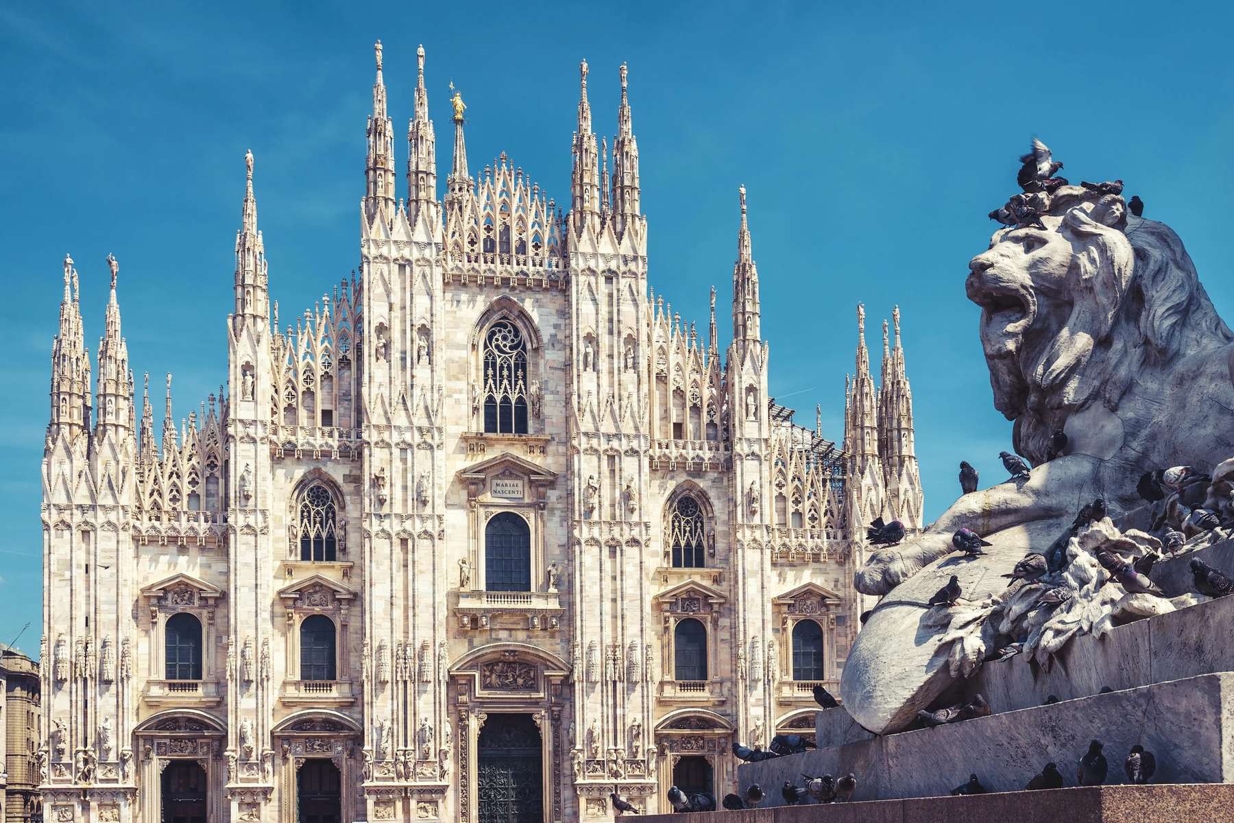 Duomo Di Milano Tickets Image