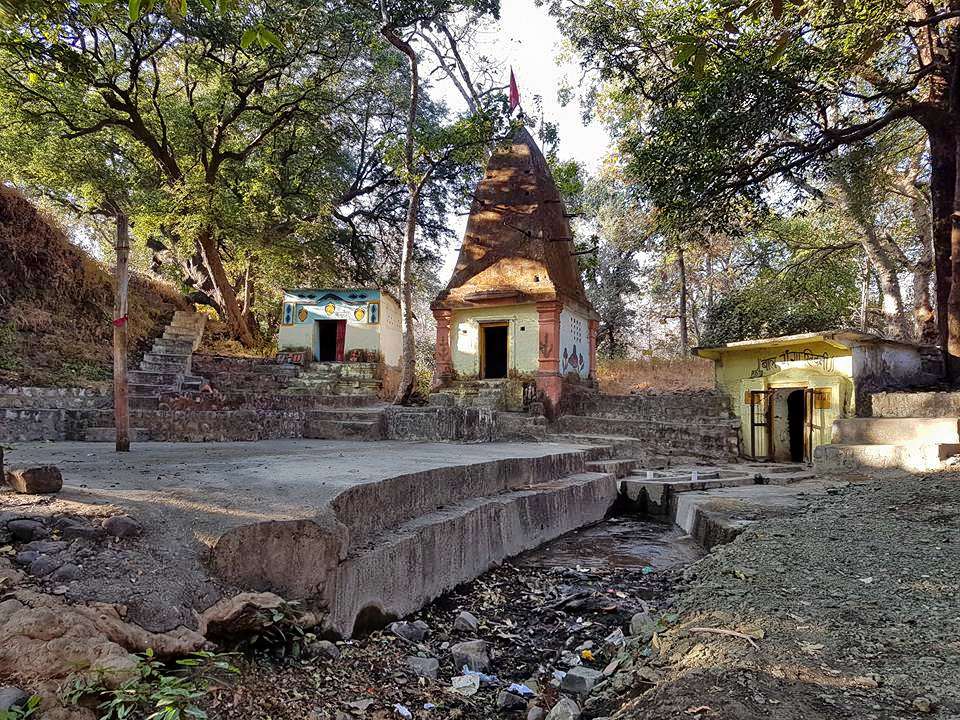 Jungle Tour Of Kheoni Wildlife Sanctuary Image