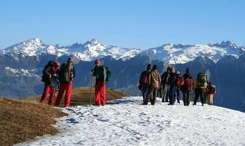 I62jko9ro969u43ocd4acumh2fdu download%20 %202023 12 08t164025.073