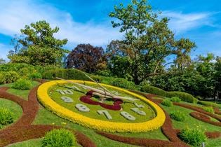 I69l4dui1onq96vb56qczusrlz6e 1579778294 l'horloge fleurie (the flower clock)