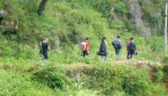 Jungle Trek In Kasauli Image