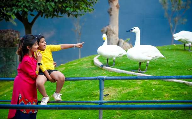 I71qwgr39qgz0c36zibvlm5co6ot eco tour