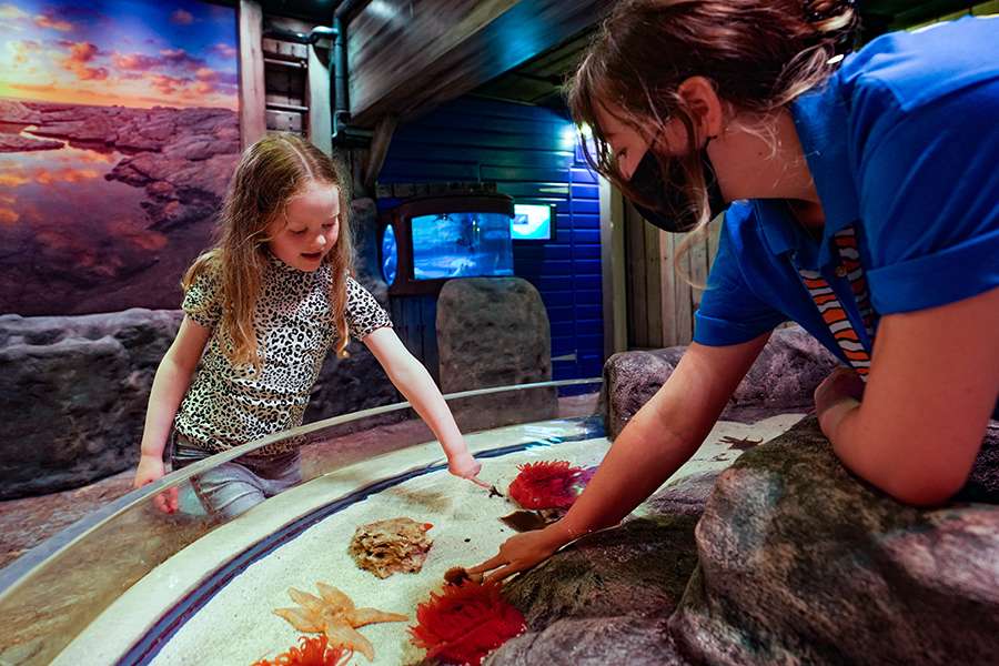 Sea Life Great Yarmouth Ticket Image