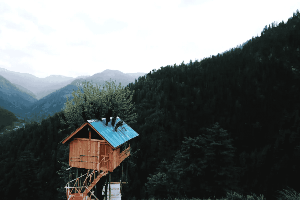 Jibhi Tree House Image