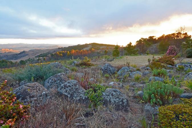 Nyanga National Park