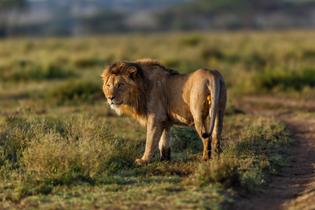 Ngorongoro Conservation Area