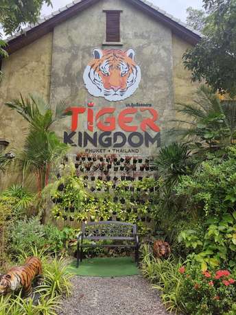 Ib0qa1wges24527p7l188wqyhqnb img20220722142127