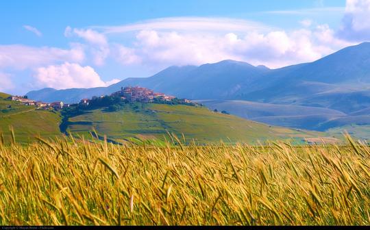 Italy Cycling Tour Image