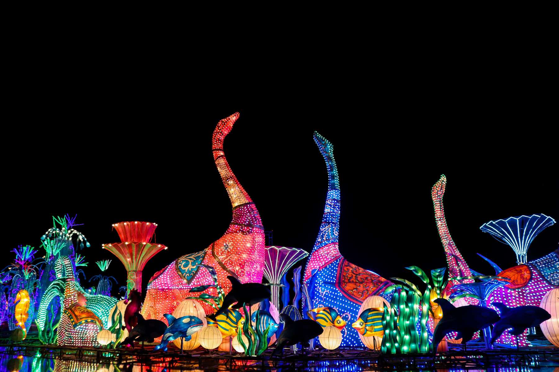Dubai Garden Glow Tickets Image