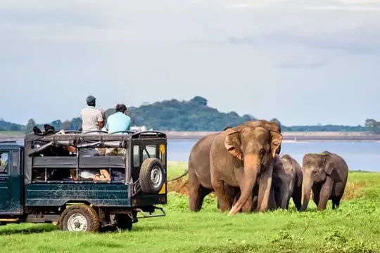 Day Trip To Kabini From Bengaluru Image