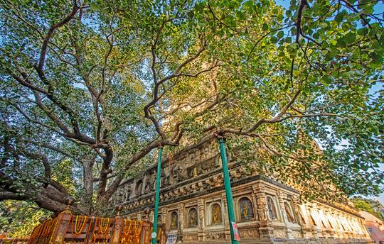 Kasi Gaya Tour Package From Chennai By Train Image