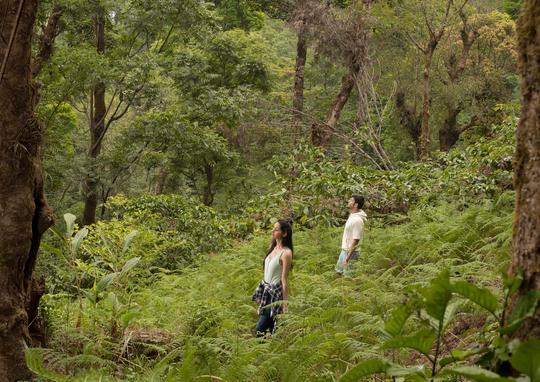 Riverside Camping In Coorg Image
