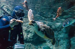 Aquarium Costa de Almeria Tickets