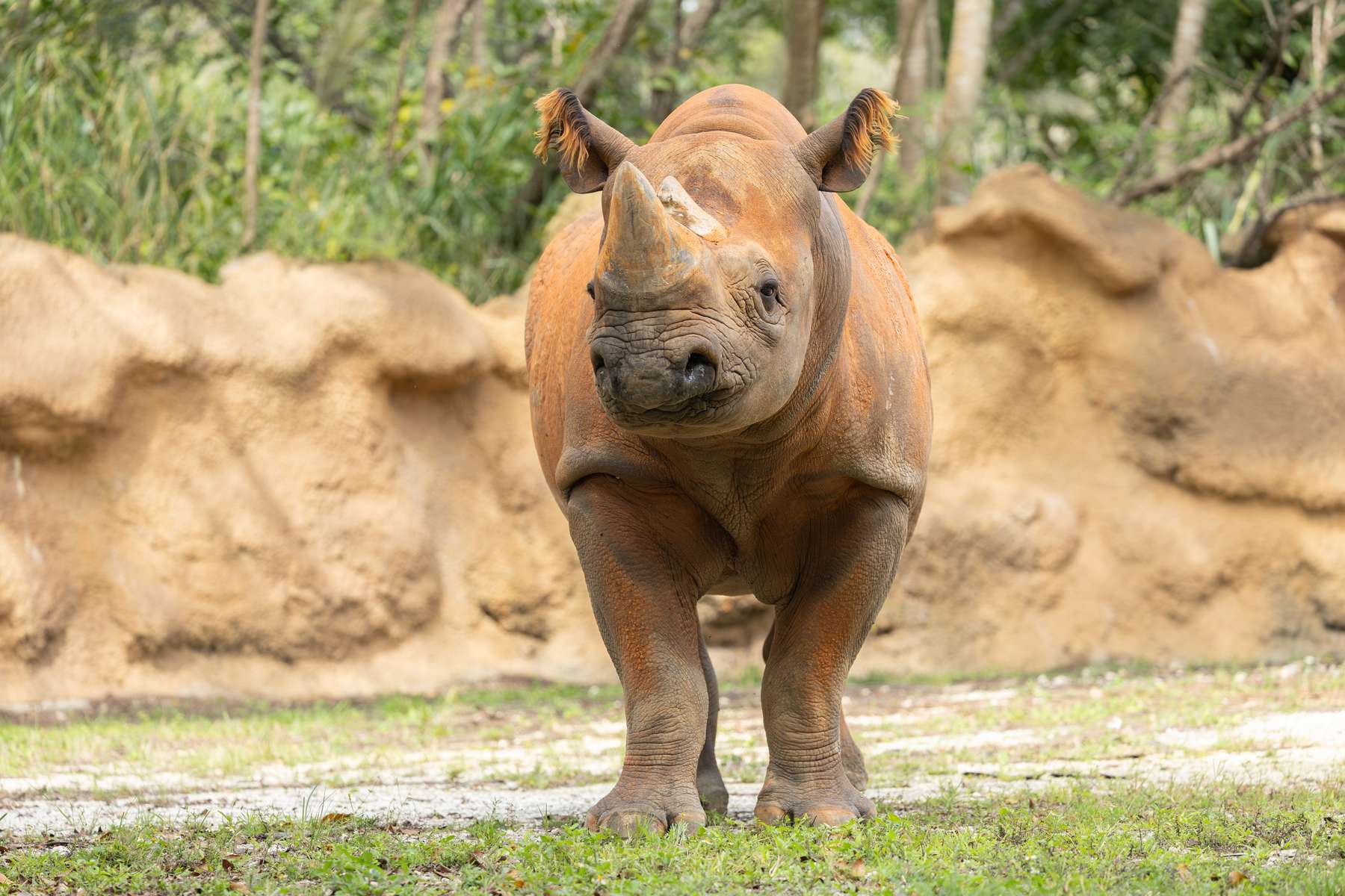 Zoo Miami Tickets Image