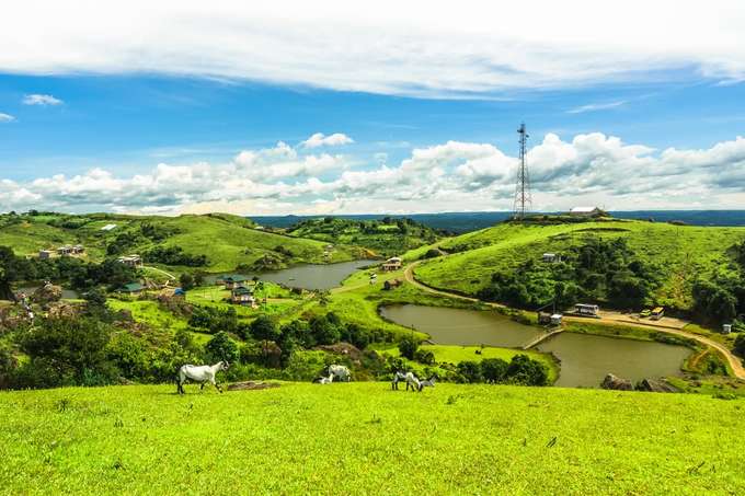 Admire the rolling meadows of Mawphanlur village
