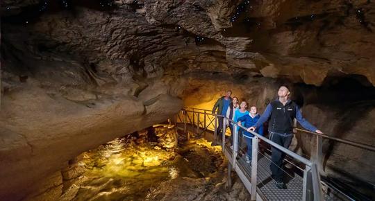Te Anau Glowworm Caves Image