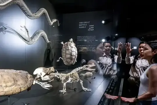 Dubai Crocodile Park Tickets Image