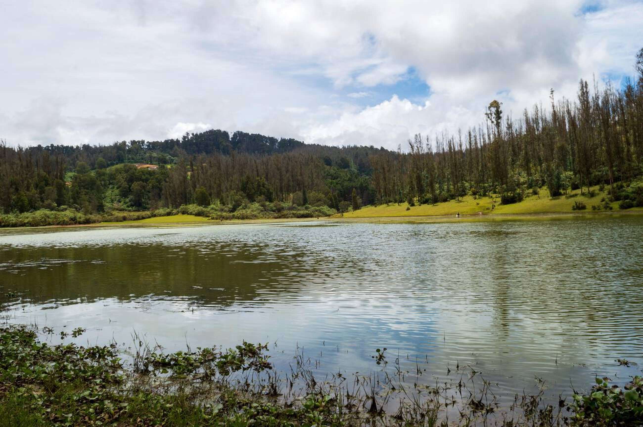 Visit Ooty Lake & some other attractions on 12 hour sightseeing tour