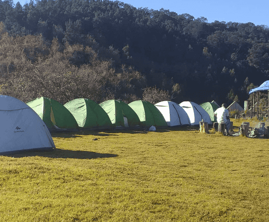 Ik4g25kojtaqj9fk9ej965t8ud4g dcsfvrtg