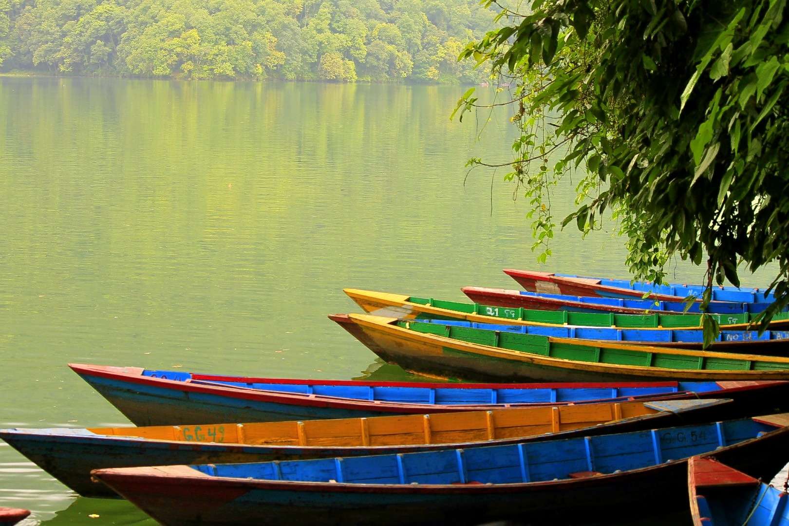 Kathmandu and Pokhara Tour For 5 Days Image