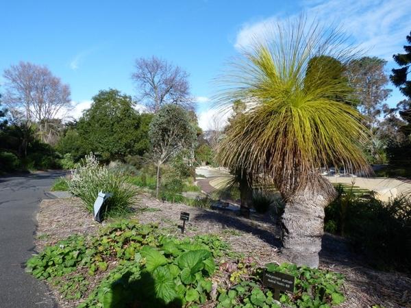 Geelong Botanical Gardens