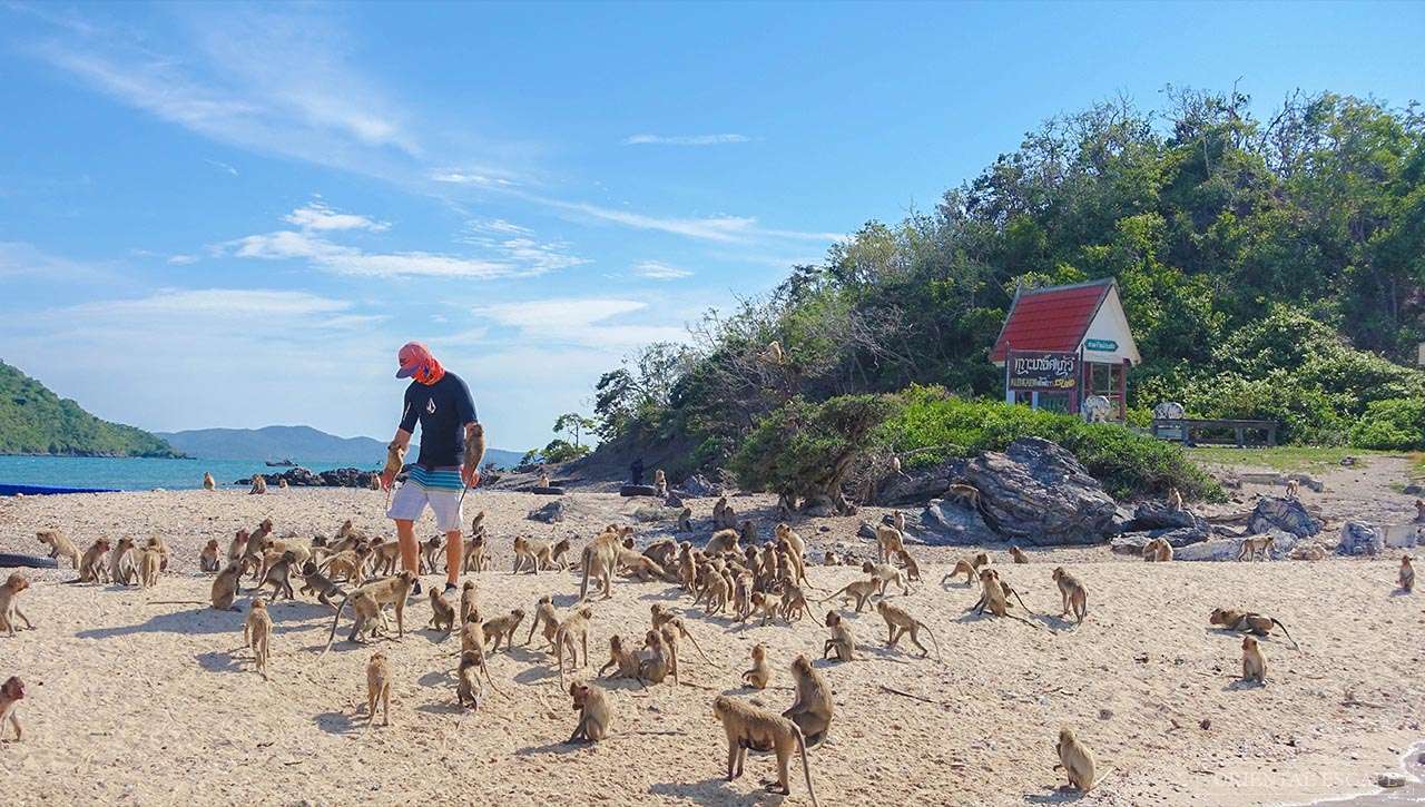 Pattaya Yacht Tour Image